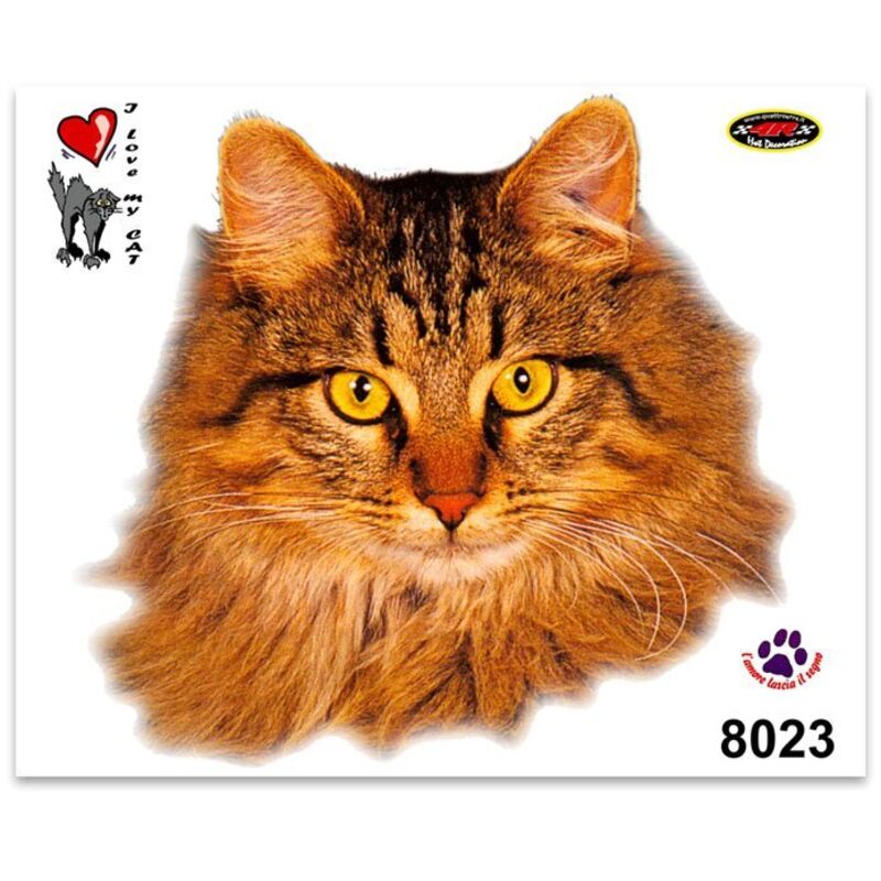 Adesivi Stickers Medi Gatto Persiano 13,5 x 16 cm