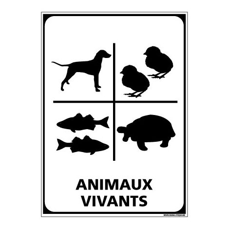 Adhésif de Signalisation CONDITIONNEMENT : ANIMAUX VIVANTS (M0311).- Adhésif - 75 x 105 mm
