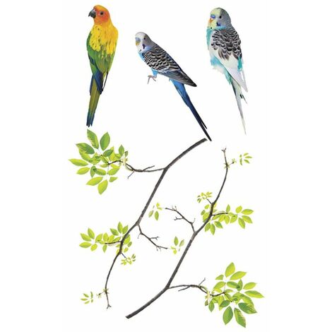Adhésifs de vitres Oiseaux