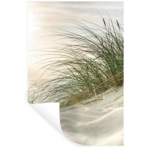 ADHESIVO DE PARED Dunas con hierba de playa bajo el sol del parque nacional alemán Schleswig-Holsteinisches Wattenmeer 40x60