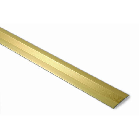 Adhesivo para moqueta BRINOX Tapajunta 4x100 cm Alu-Oro B810504
