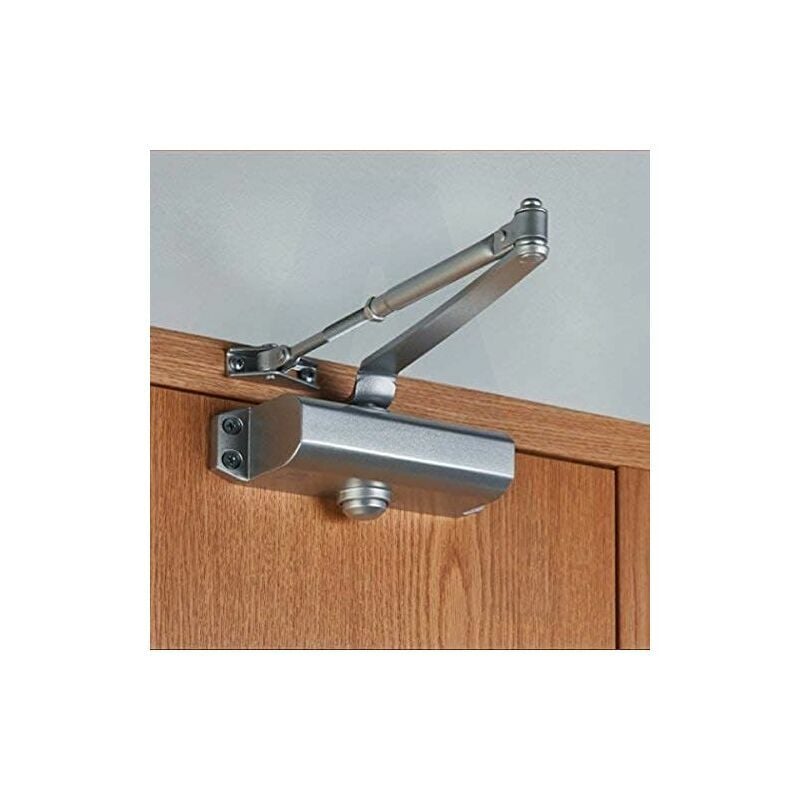 Adjustable Automatic Hydraulic Door Closer, Slow Close and Close Door, Ideal for Self Closing Door for Residential and Commercial Use, 1 Piece 45-65kg