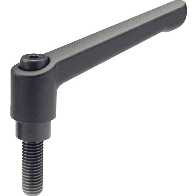 Ganter GN300-63-M8-25-SW Adjustable Hand Lever Black, Male