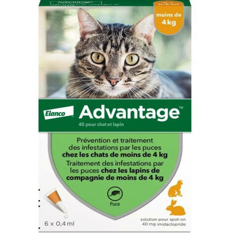 Advantage Solution Antipuce Chat Lapin 1 a 4kg 6 pipettes
