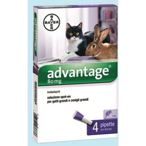 Advantage Spot On 80 Gatti e Conigli 4 Fiale da 8 Ml