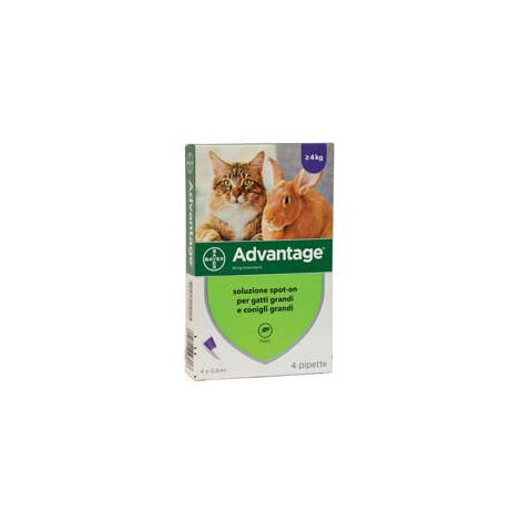 Advantage Spot On 80 prévention des puces et des tiques pour les chats de 4 kg 4 pipettes