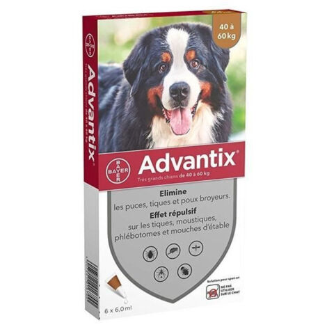 ADVANTIX 6 pipetas antiparasitarias - Para perros muy grandes de 40 a 60 kg - 6 x 6 ml