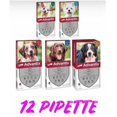 1PZ ADVANTIX CANI DA 4 A 10 KG. CF.6 PIPETTE DA 1 ml