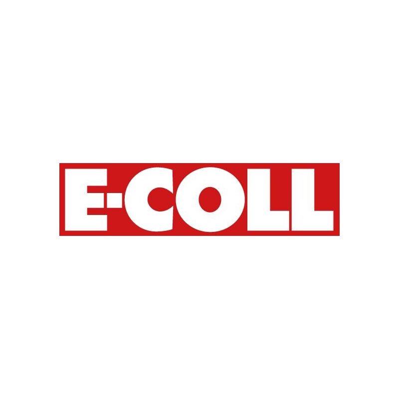 Spray de zinc aérosol 400ml E-COLL 1 PCS