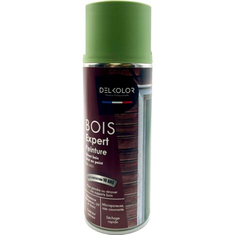 Aérosol Delkolor Peinture Microporeuse spéciale Bois 400ML  Couleur: RAL 6021
