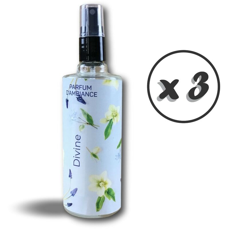 Aerosol parfumeur | 250ml | Parfum d'ambiance | Forte rémanence - Quantité x 3 - 251 ml - Parfum Divine