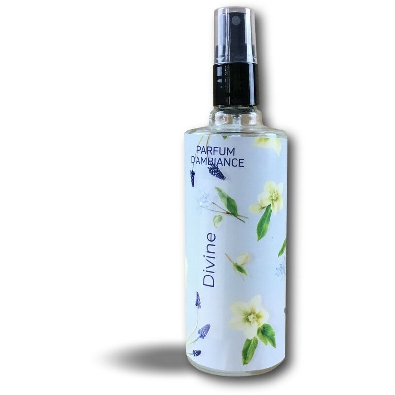 Aerosol parfumeur | 250ml | Parfum d'ambiance | Forte rémanence - Quantité x 1 - 250 ml - Parfum Divine