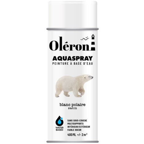 Aérosol Technima Aquaspray Oléron Blanc Polaire Satiné 400ml - Technima