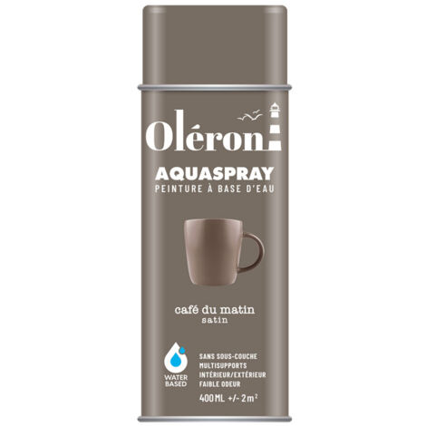 Aérosol Technima Aquaspray Oléron Café Satiné 400ml - Technima