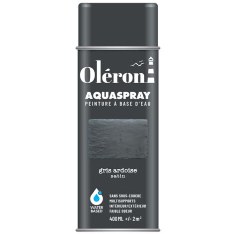 Aérosol Technima Aquaspray Oléron Gris Ardoise Satiné 400ml - Technima