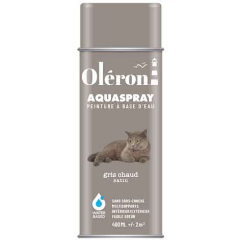 Aérosol Technima Aquaspray Oléron Gris Chaud Satiné 400ml - Technima