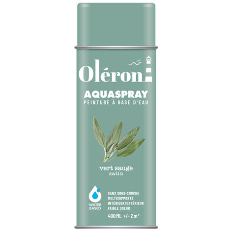 Aérosol Technima Aquaspray Oléron Vert Sauge Satiné 400ml - Technima