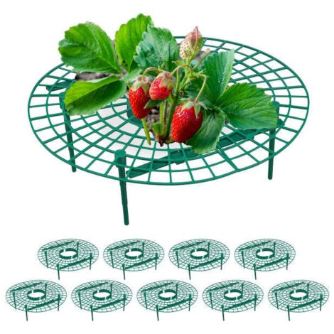 Affettatrice per fragole 10 pz