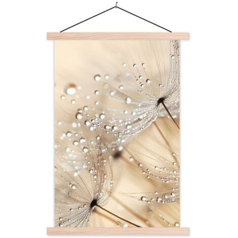 AFFICHE AVEC CADRE MAGNÉTIQUE Pissenlit - Abstrait - Nature - Beige 40x60