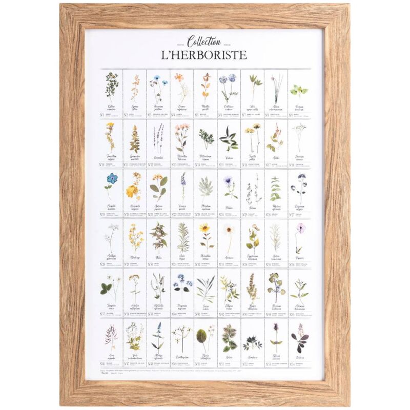 Affiche encadrée plantes Ingrid bois 50x70cm Atmosphera créateur d'intérieur
