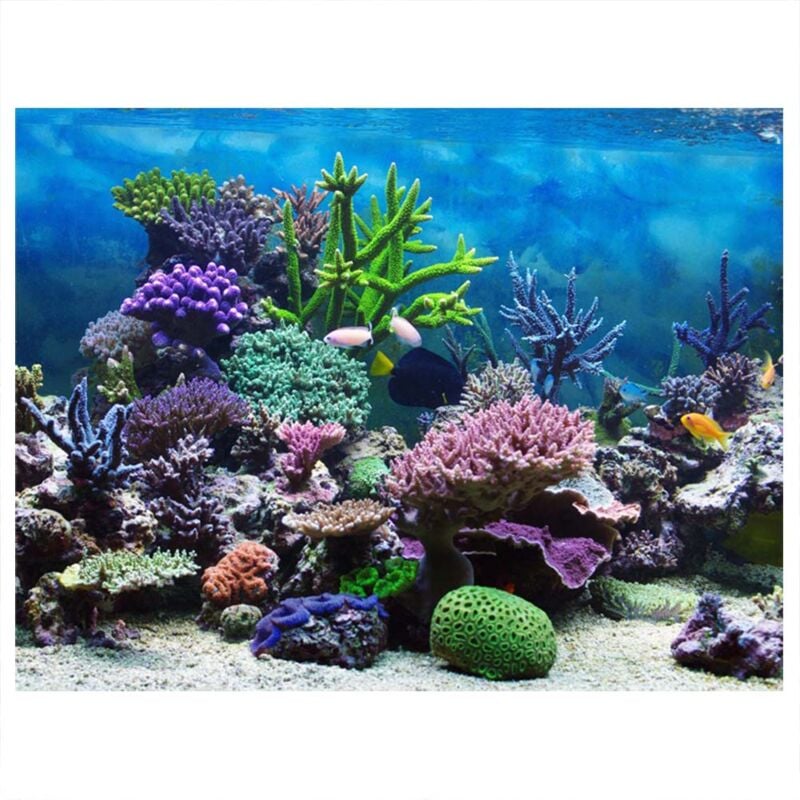 Basetbl - Affiche de fond d'aquarium de corail sous-marin adhésif en pvc, papier de décoration pour toile de fond (61 x 41 cm)