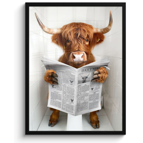 AFFICHE ENCADRÉE Scottish Highlander - Animal - Journal - Toilette Tableau Décoration Murale 60x80