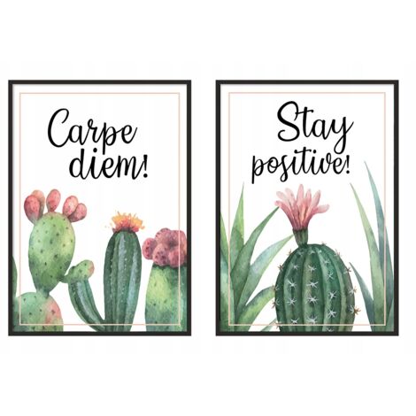 AFFICHE IMAGE ENCADRÉE 53x73cm Diptyque Lot de 2 images Carpe Diem Cactus P980