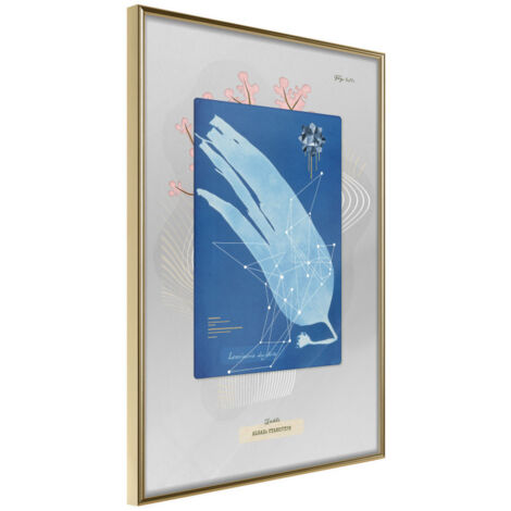 Affiche Murale Encadrée "Alga Cyanotype" 21 x 30 cm Or