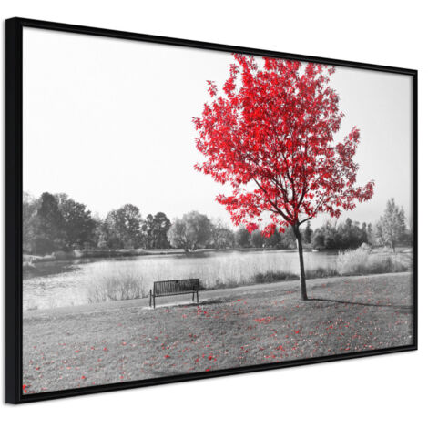 Affiche Murale Encadrée "Autumn Colours I" 60 x 40 cm Noir