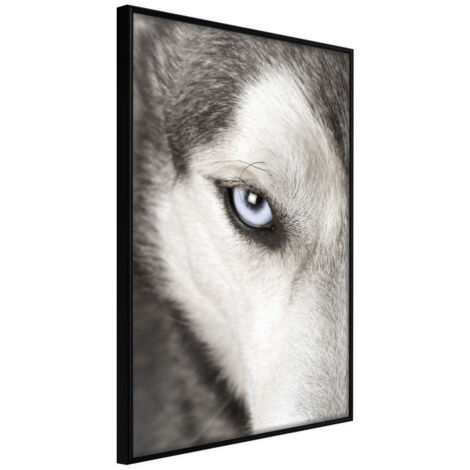 Affiche Murale Encadrée "Azure Eye" 30 x 42 cm Noir