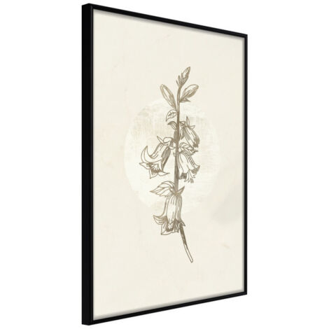 Affiche Murale Encadrée "Beige Campanula" 21 x 30 cm Noir
