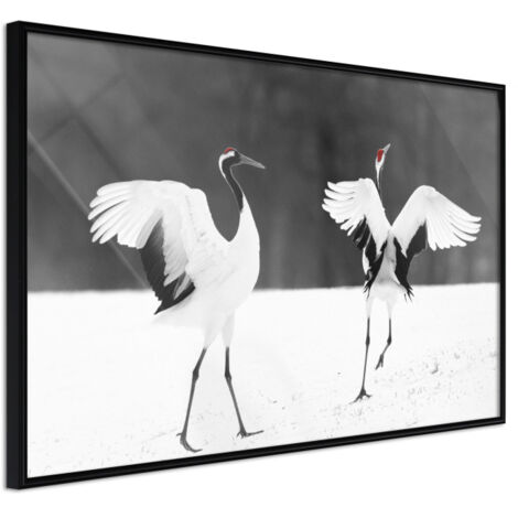 Affiche Murale Encadrée "Bird Date" 30 x 20 cm Noir