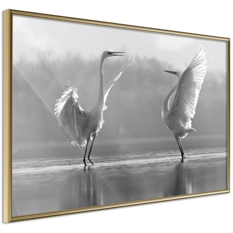Affiche Murale Encadrée "Black and White Herons" 30 x 20 cm Or