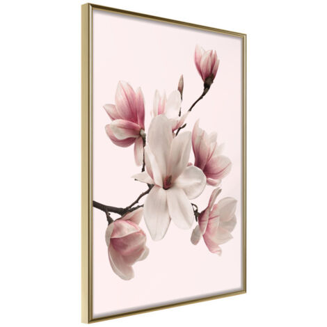 Affiche Murale Encadrée "Blooming Magnolias I" 21 x 30 cm Or