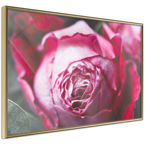 Affiche Murale Encadrée "Blooming Rose" 30 x 20 cm Or