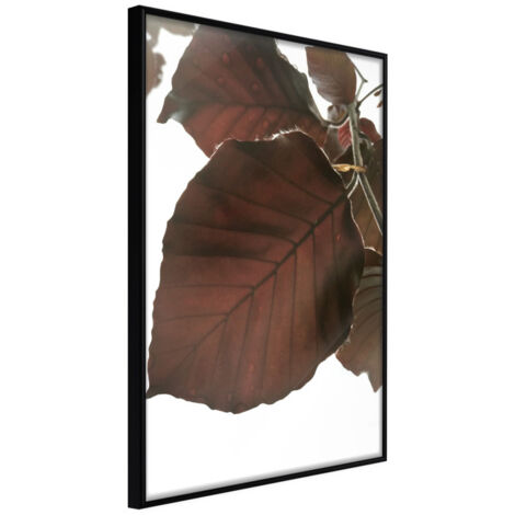 Affiche Murale Encadrée "Burgundy Tilia Leaf" 21 x 30 cm Noir