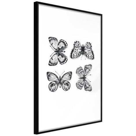 Affiche Murale Encadrée "Butterfly Collection IV" 21 x 30 cm Noir