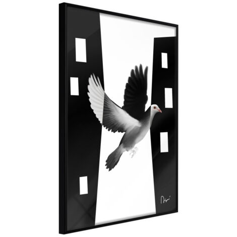 Affiche Murale Encadrée "Caught in Flight" 21 x 30 cm Noir