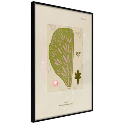 Affiche Murale Encadrée "Cross Section of a Leaf" 21 x 30 cm Noir