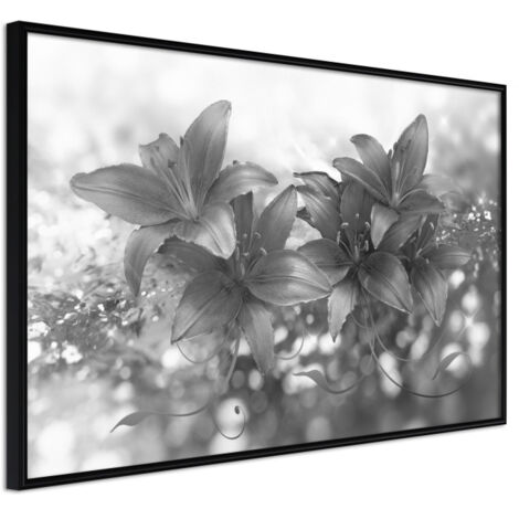Affiche Murale Encadrée "Dark Lillies" 30 x 20 cm Noir