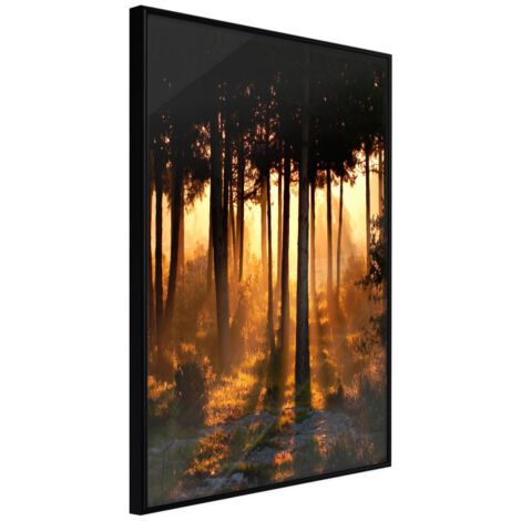 Affiche Murale Encadrée "Dark Tree Tops" 21 x 30 cm Noir