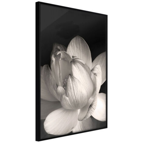 Affiche Murale Encadrée "Delicacy of a Flower" 21 x 30 cm Noir