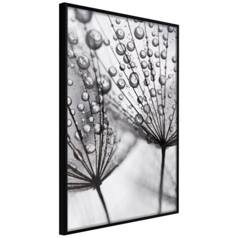 Affiche Murale Encadrée "Dew in the Macro Scale" 21 x 30 cm Noir