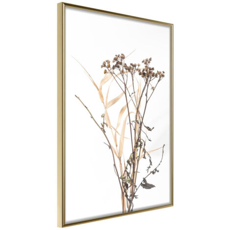 Affiche Murale Encadrée "Diary of a Herbalist" 21 x 30 cm Or