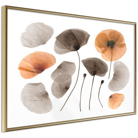 Affiche Murale Encadrée "Dried Poppies" 30 x 20 cm Or