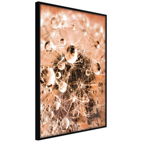 Affiche Murale Encadrée "Drops on Dandelion" 21 x 30 cm Noir