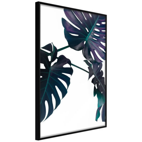 Affiche Murale Encadrée "Evergreen Monstera" 21 x 30 cm Noir