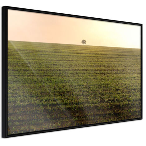 Affiche Murale Encadrée "Farmland" 60 x 40 cm Noir