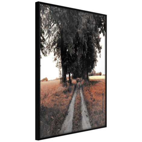 Affiche Murale Encadrée "Field Path" 40 x 60 cm Noir