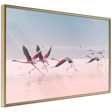 Affiche Murale Encadrée "Flamingos Breaking into a Flight" 30 x 20 cm Or